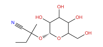 Lotaustralin