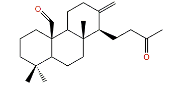 Luteone