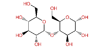 Maltose