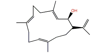 Mayol