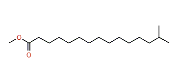 Methyl 14-methylpentadecanoate