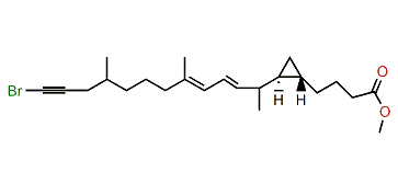 Methyl (E,Z)-18-Bromo-5,6-trans-endomethylene-7,11,15-trimethyloctadeca-8,10-dien-17-ynoate