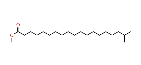 Methyl 18-methylnonadecanoate