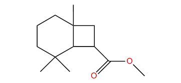 Methyl-1,5,5-Trimethylbicyclo[4.1.0]heptan-7-carboxylate