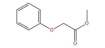 Methyl 2-phenoxyacetate