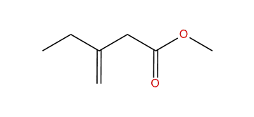 Methyl 3-methylenepentanoate