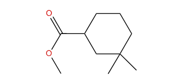 Methyl 3,3-dimethylcyclohexanecarboxylate