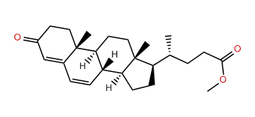 Methyl 4,6-choldien-3-one-24-oate