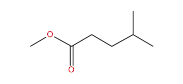 Methyl 4-methylpentanoate