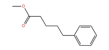 Methyl 5-phenylpentanoate