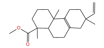 Methyl pimara-8,15-dien-18-oate