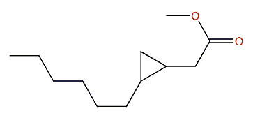 Methyl cascarillate