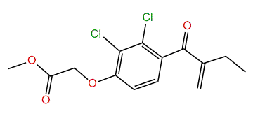 Methyl ethacrynate