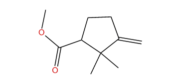 Methyl gamma-campholytate