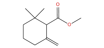 Methyl gamma-cyclogeranate