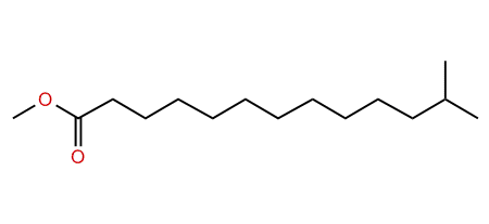 Methyl 12-methyltridecanoate