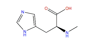 N-Methyl-L-histidine