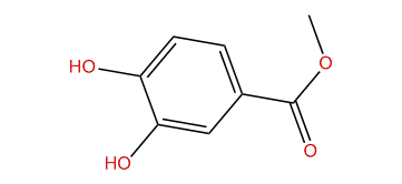 Methyl 3,4-dihydroxybenzoate