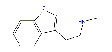 N-Methyl-1H-indole-3-ethanamine