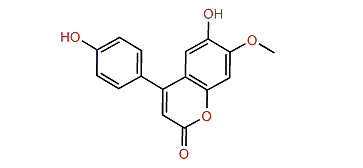 Melanettin