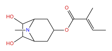 3-Tigloyloxy-6,7-dihydroxytropane