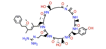 Microcystin-YR