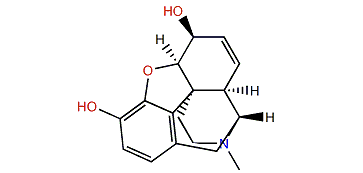 Morphine