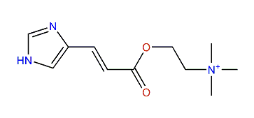 Urocanylcholine