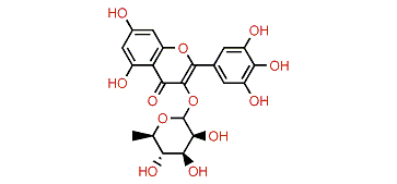 Myricitrin