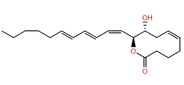 Neodidemnilactone