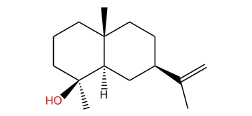 Neointermedeol