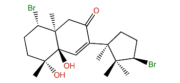 Neoirieone