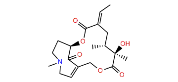 Neosenkirkine