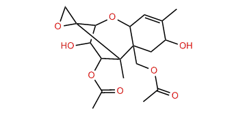 Neosolaniol