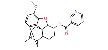 Nicodicodine