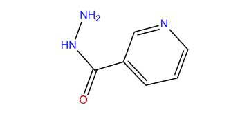 Nicotinylhydrazide