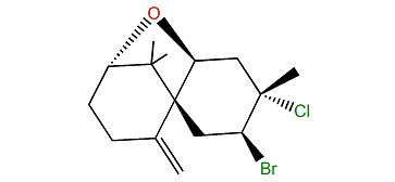 Nidifocene