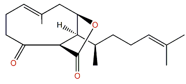 Nordictyotalide