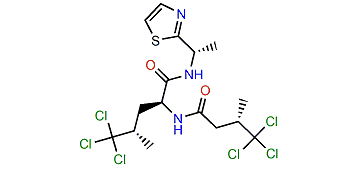 Nordysidenin