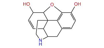 Normorphine