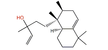 Nosyberkol