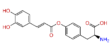 o-Caffeoyltyrosine