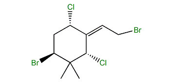 Ochtodene