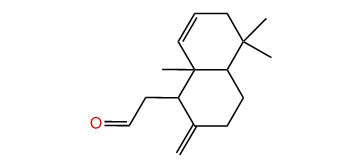 Octahydro-5,5,8a-trimethyl-2-methylene-1-naphthylacetaldehyde