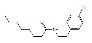 N-[2-(4-Hydroxyphenyl)ethyl]-octanamide