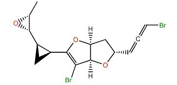 Okamurallene