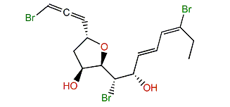 Omaezallene