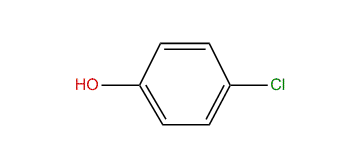 4-Chlorophenol