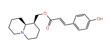 p-Coumaroyllupinine