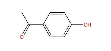 4-Hydroxyacetophenone